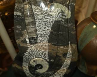 Ammonite