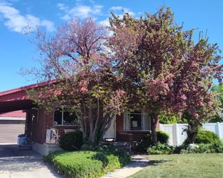 This cute home will be for sale soon too!