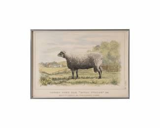 Oxford Down Ram Royal Jubilee Lithograph