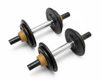 Adjustable Dumbbell Set