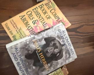 James Herriot All Creatures Great and Small Two Volumes in One All Things Bright and Beautiful Book Lot