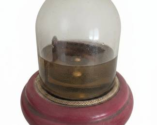 Victorian Era Glass Paperweight with Embedded Object