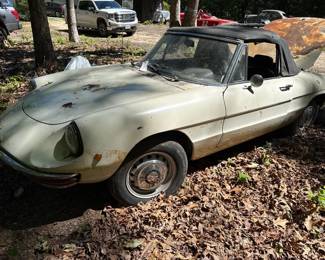 ALFA ROMEO SPIDER CAR