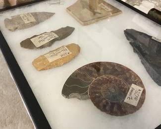 Fossils and arrowheads