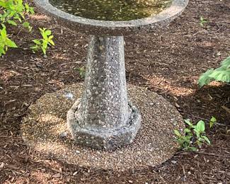 bird bath
