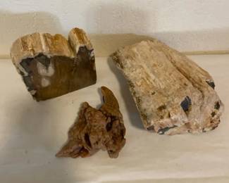 Petrified Wood
