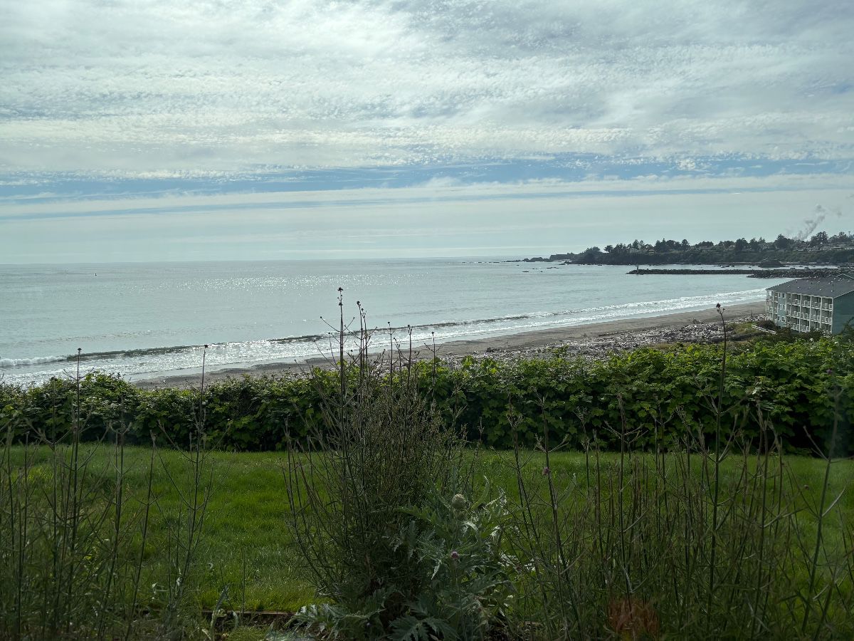 the view