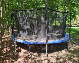 trampoline you remove at your own risk