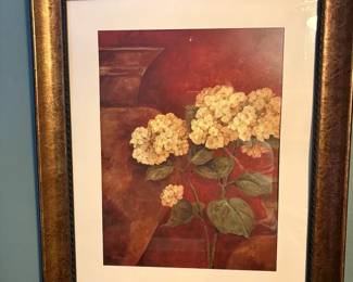 Framed Print Of White Hydrangea