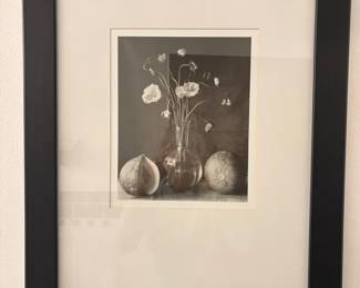  009 Framed Print Of Flowers In Shades Of Black And White