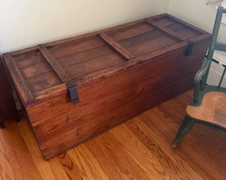 Primitive trunk