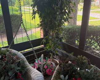 Faux Plants