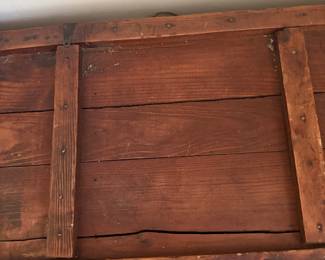 Primitive trunk