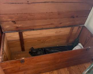 Primitive trunk