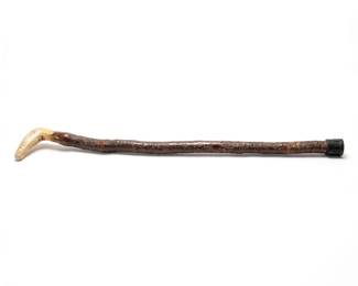 270 273naturalrootknobwoodenwalkingstick