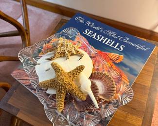 Seashells 