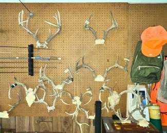 ANTLERS