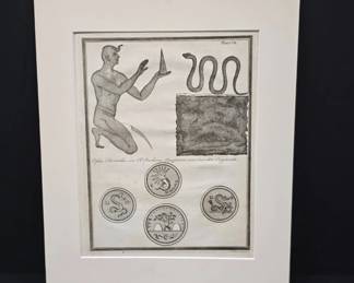 1774 Ophis Thermuthis Copper Plate Engraving