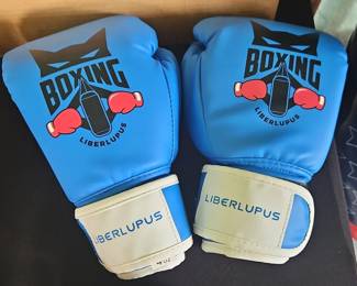 Blue Youth Boxing Gloves