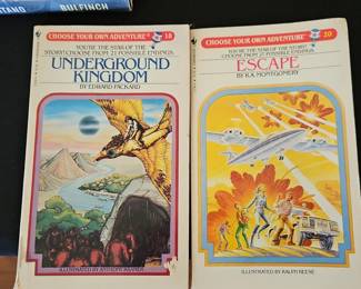 Choose Your Own Adventure Books