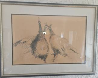 Peacock Sketch Framed Art