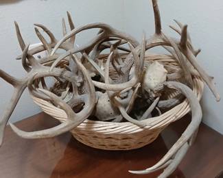 Basket antlers