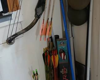 Compound bow and arrows