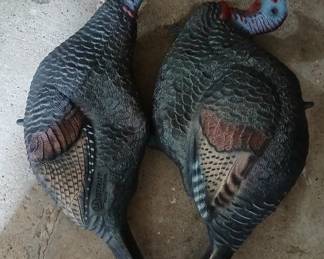 Turkey decoys