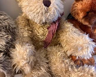 Boyd's Bear (one of many)