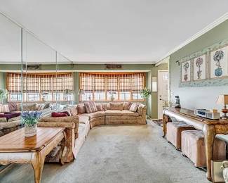 LIGHTLY USED SOFA SECTIONAL HOME DECOR