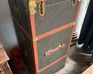 Mulberry trunk