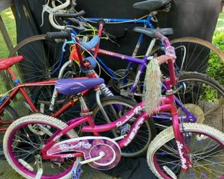 Miscellaneous Bikes That Need A Little Love  Sears 10 Speed  Murray Badlands  More