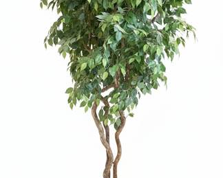 Ficus Benjamina Artificial Tree in Brass Pot