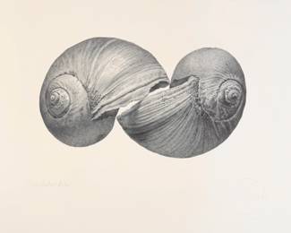 Gendron Jensen “Fire Islander” Graphite on Paper