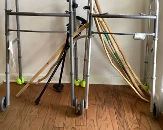 Canes Hiking Sticks Walkers