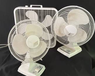 Fans, Fans, Fans