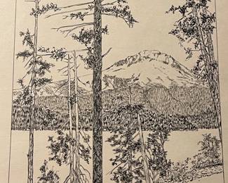 wonderful collection of original art...