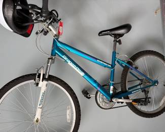  019 Roadmaster Granite Peak 24 Inch WomenS Mountain Bike
