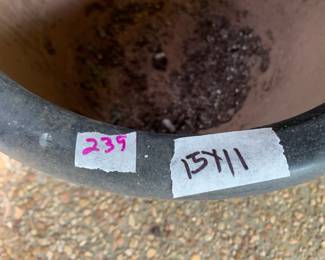 #239	terricota pot black glaze 15x11	 $30.00 			