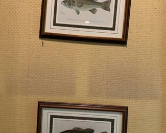 #108	Set of 2 Fish Prints  - Signed - 18x14 of Bass Framed	 $40.00 			