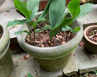 #136	Concrete Round Pot - 14x13	 $25.00 			 #137	Concrete Round Pot - 14x13	 $25.00 			