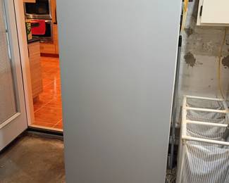 Stand up FREEZER ice cold