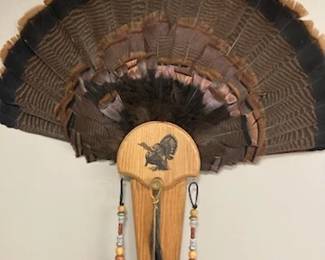 Several cool Turkey feather displays