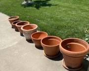 MANY pots and plants of all sizes