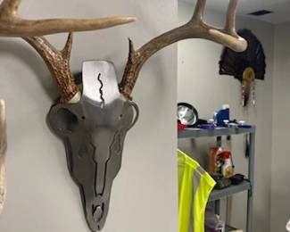 Unique antler displays--several