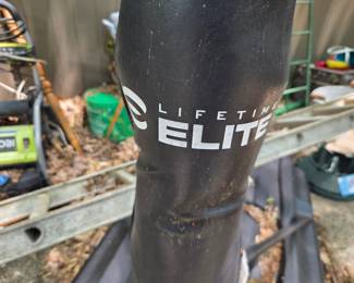 #322	Lifetime Elite adjustable Basketball hoop with stand (adj up to 10feet)	 $125.00 