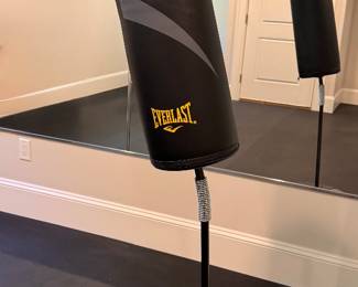 Everlasting punching bag