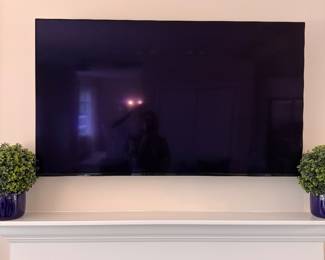 55" Sony TV