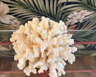 Natural coral