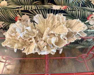 Natural coral